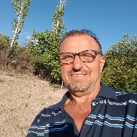 Ali Arayıcı